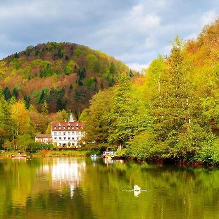 Hotel Pfaelzer Wald باد بيرغزابيرن المظهر الخارجي الصورة