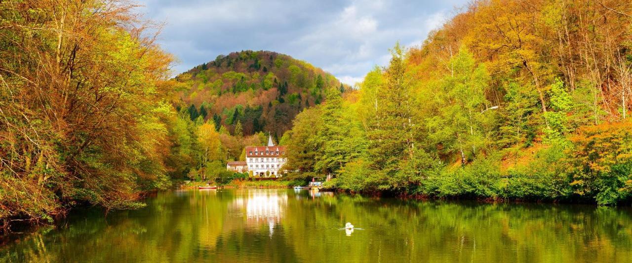 Hotel Pfaelzer Wald باد بيرغزابيرن المظهر الخارجي الصورة